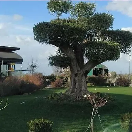 Idi's Valamar *