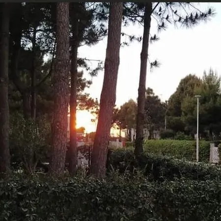 Semesterbostad Idi's Valamar Hamallaj