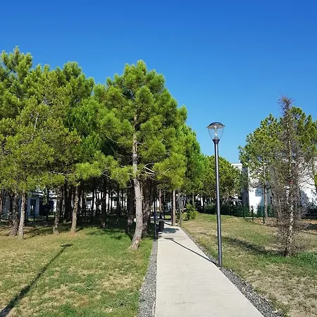 Idi's Valamar * Hamallaj
