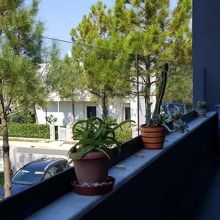 Idi's Valamar *