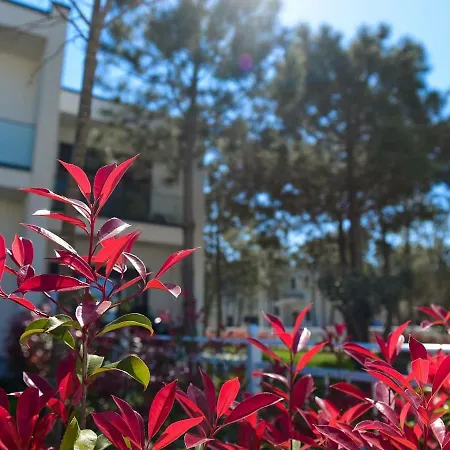 Idi's Valamar * Hamallaj